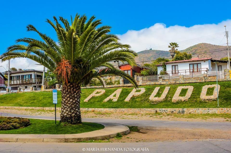 Апартаменты Haydee Lomas De Papudo IV Экстерьер фото